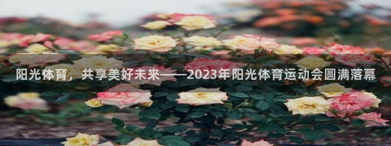三亿体育网：阳光体育，共享美好未来——2023年阳光体育运动会圆满落幕