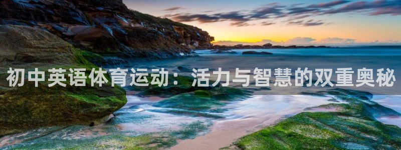 三亿体育：初中英语体育运动：活力与智慧的双重奥秘