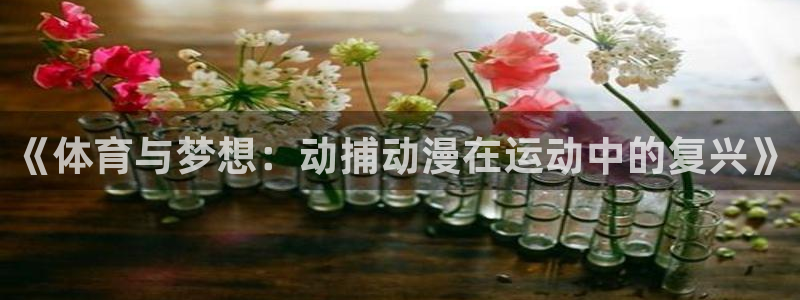 三亿体育登录：《体育与梦想：动捕动漫在运动中的复兴》