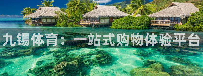 三亿体育网页版：九锡体育：一站式购物体验平台