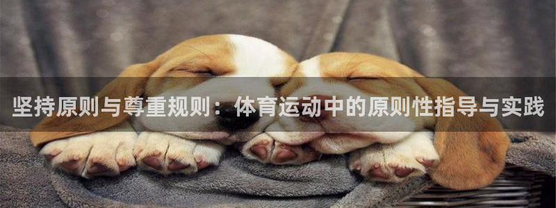 三亿体育登录：坚持原则与尊重规则：体育运动中的原则性指导与实践