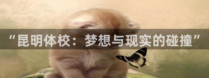 三亿体育登录：“昆明体校：梦想与现实的碰撞”