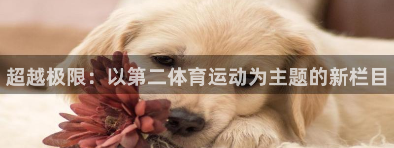 三亿体育：超越极限：以第二体育运动为主题的新栏目
