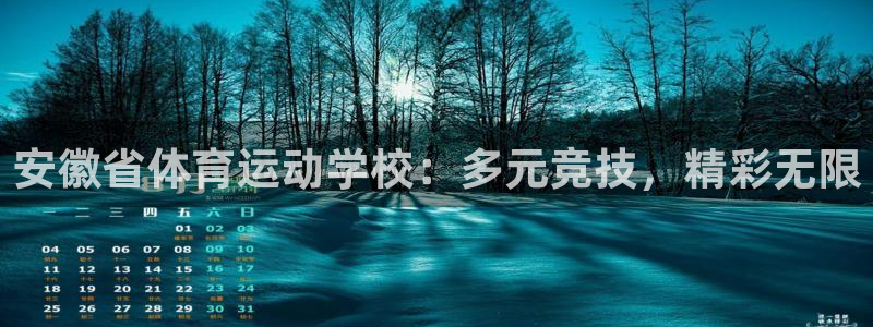 三亿体育网：安徽省体育运动学校：多元竞技，精彩无限