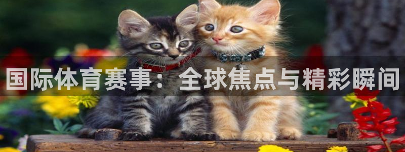 三亿体育网页版：国际体育赛事：全球焦点与精彩瞬间