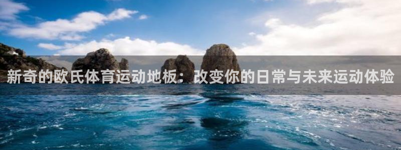 三亿体育登录：新奇的欧氏体育运动地板：改变你的日常与未来运动体验