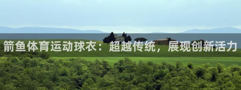 三亿体育登录：箭鱼体育运动球衣：超越传统，展现创新活力
