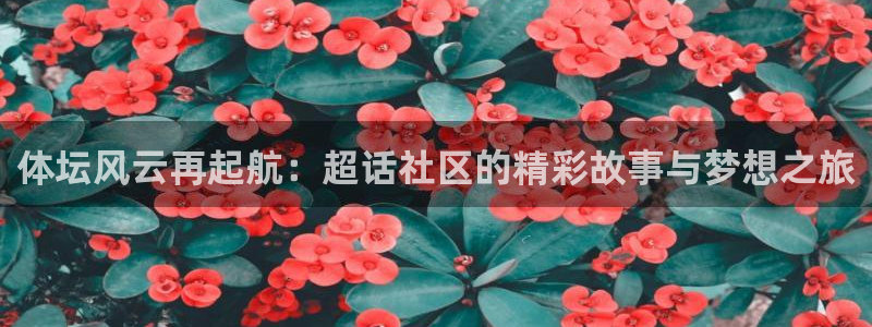 三亿体育网：体坛风云再起航：超话社区的精彩故事与梦想之旅