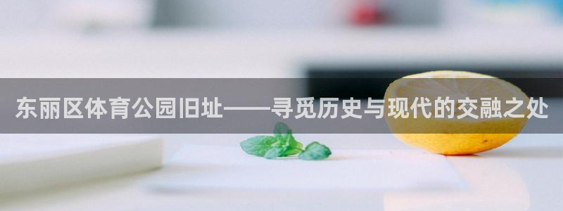 三亿体育网：东丽区体育公园旧址——寻觅历史与现代的交融之处