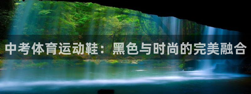 三亿体育网页版：中考体育运动鞋：黑色与时尚的完美融合